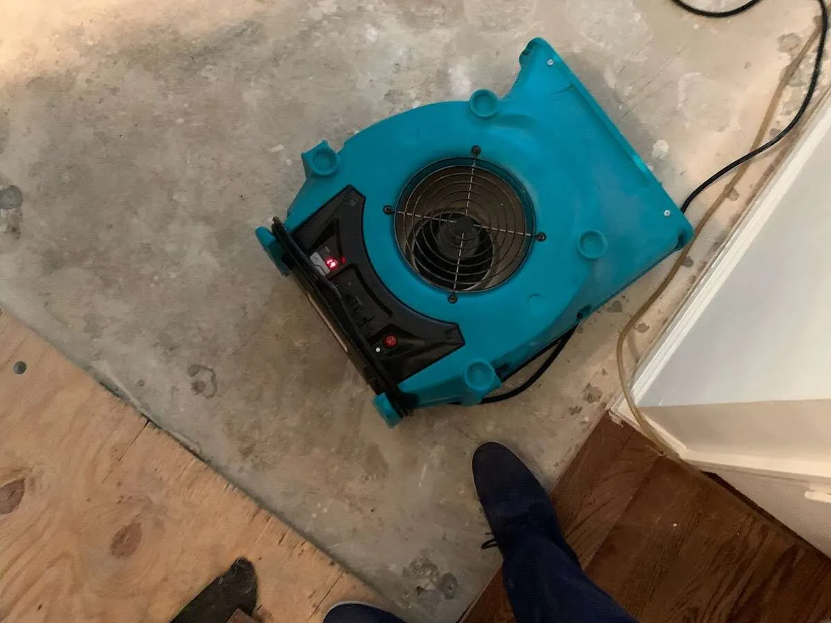 Air mover drying subfloor during Leak Detection & Repair in Fairhope